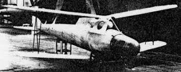 Siemens Torpedo Glider – The Forgotten Flying Bomb of WWI